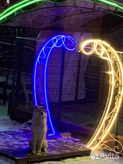 Арка кованная