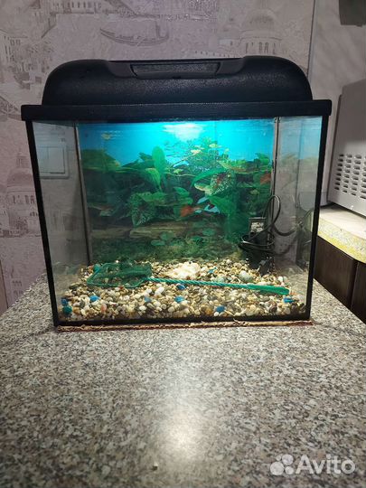 Аквариум 30л