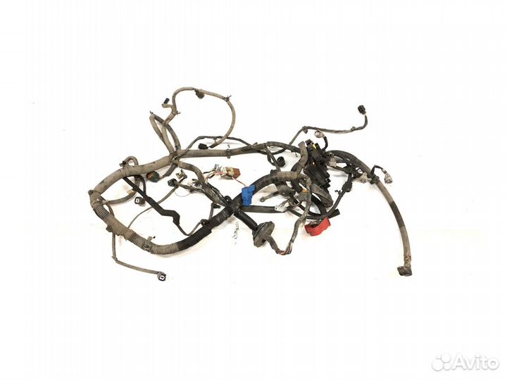 Nissan Almera Classic Проводка Моторная 1.6л QG16