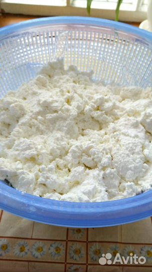 Молоко козье, сыр, мясо домашней птицы