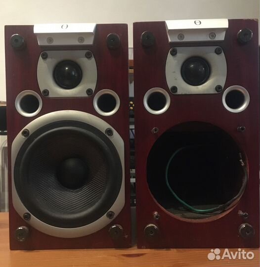 Полочная акустика Audiovector K1 (Дания)