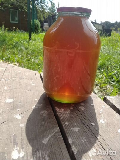 Мед из леса