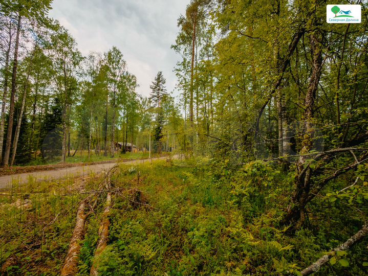 Участок 6 сот. (СНТ, ДНП)