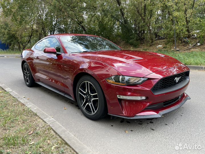 Ford Mustang 2.3 AT, 2019, 51 000 км