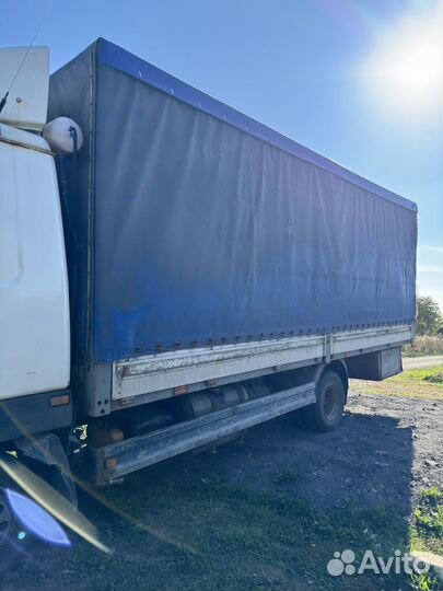 Тент на маз зубренок