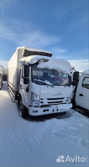 Рефрижератор 30 м³ Isuzu Elf (N-series), 2024