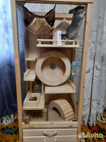 Витрина для грызунов