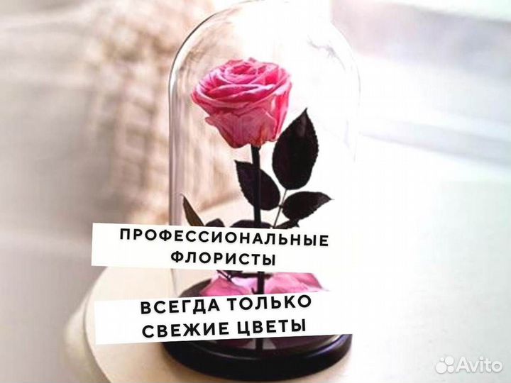 Роза в колбе