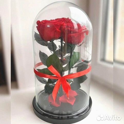 Вечная роза в колбе
