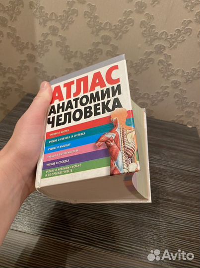 Атлас анатомии человека