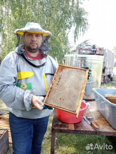 Мед гречиха