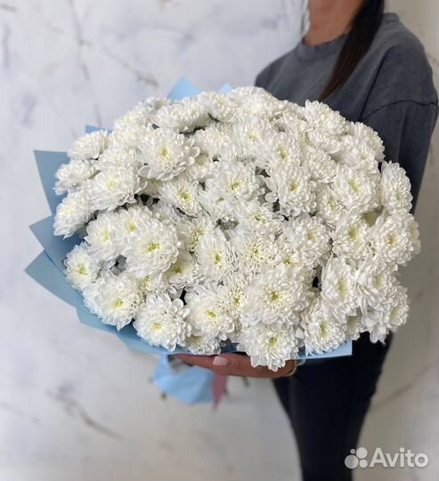 Хризантемы цветы букет доставка Flowers124