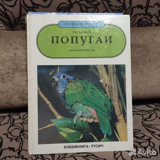 Энциклопедия