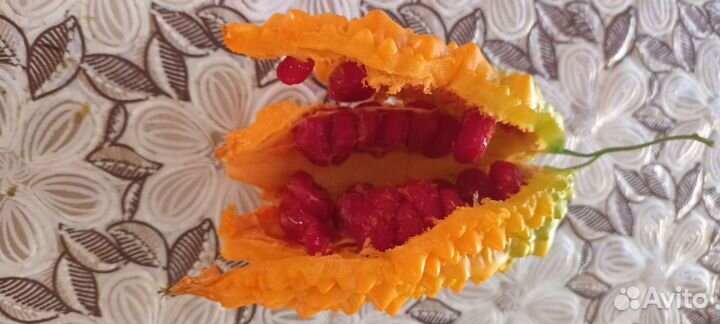 Семена момордики