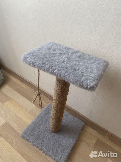 Когтеточка для кошек