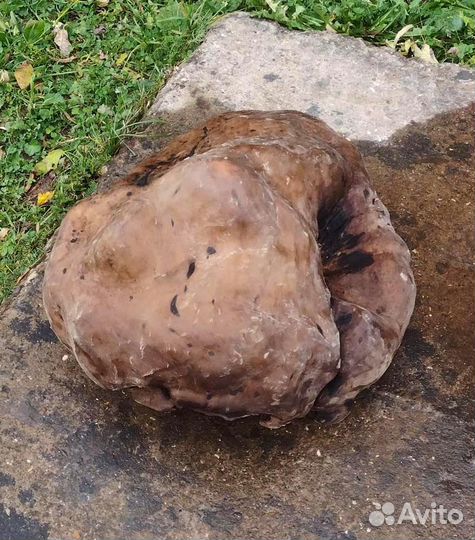 Готовый сувель