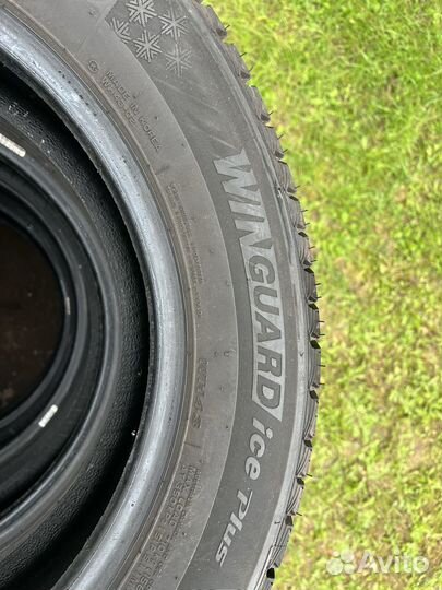 Nexen Winguard Ice Plus 215/60 R17 96T