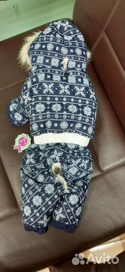 Одежда для собак