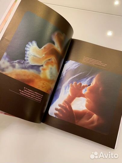Книга «Моя счастливая беременность»