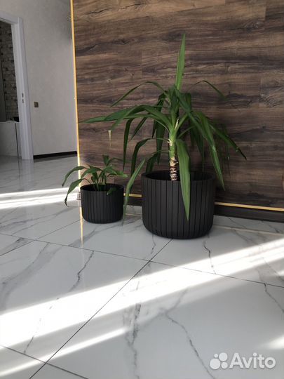 Керамогранит 60х60