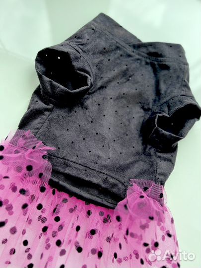 Одежда для собак мелких пород