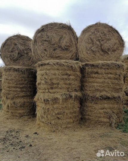 Сено в рулонах сено с доставкой