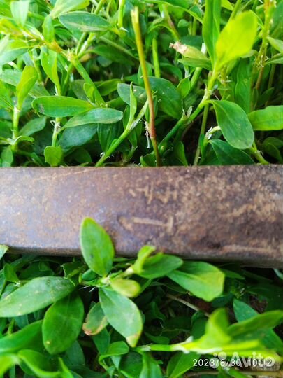 Старинный ручной бур сверло под шканты