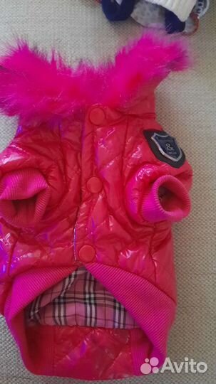 Одежда для собак мелких пород