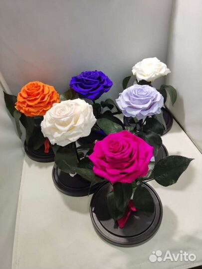 Роза в колбе опт и розница