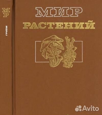 Энциклопедические словари. 1983-2004