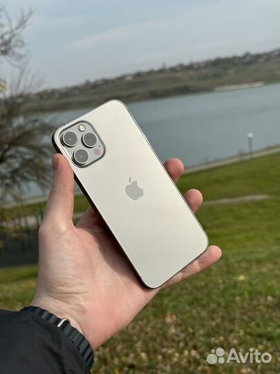 iPhone 12 Pro Max, 256 ГБ