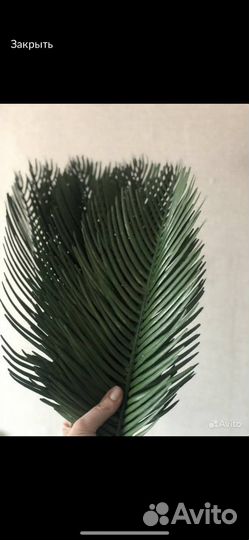 Декоративные ветки