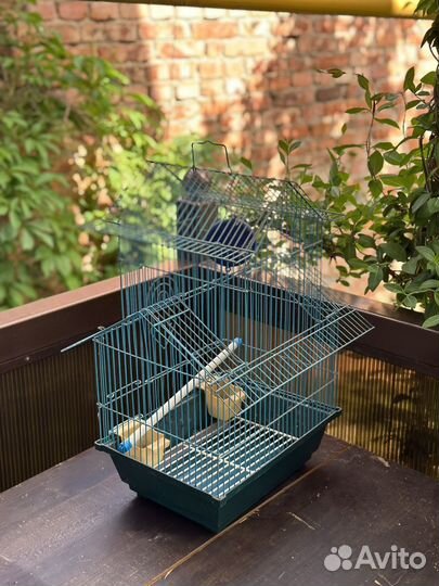 Клетка для попугая