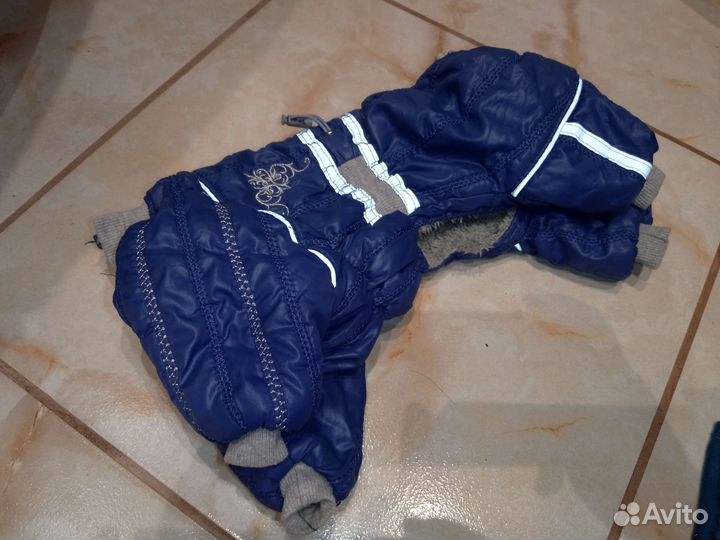 Одежда для маленьких собак