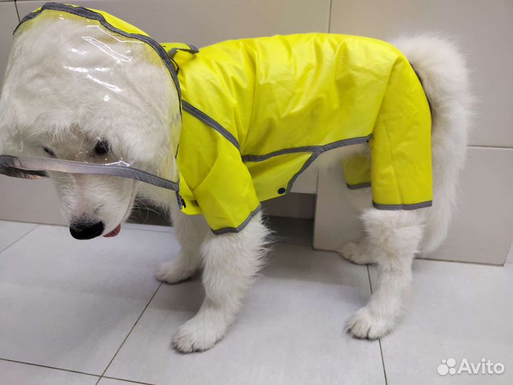 Дождевик для собак