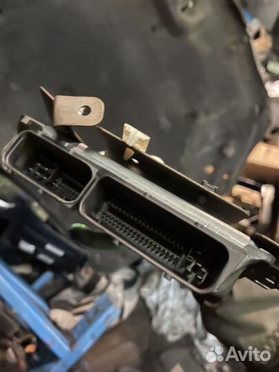 Моги эбу nissan almera n16