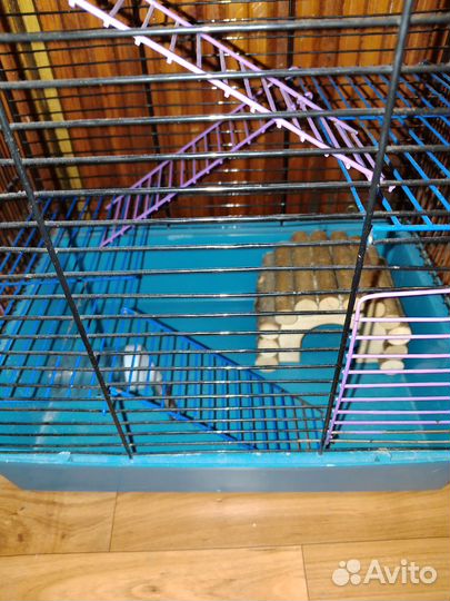 Клетка для грызунов большая