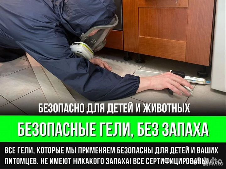 Уничтожение тараканов. Дезинфекция клопов. Травить