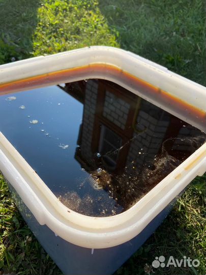 Свежий мёд с Алтая опт