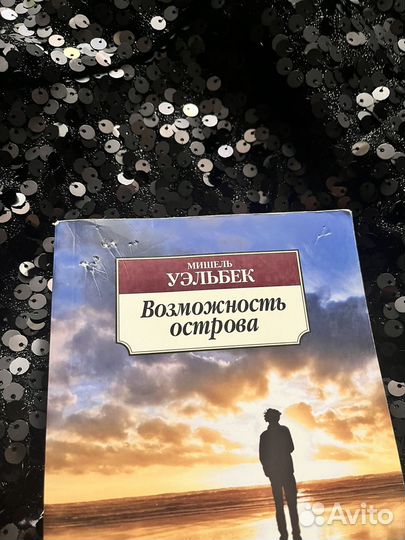 Мишель Уэльбек 