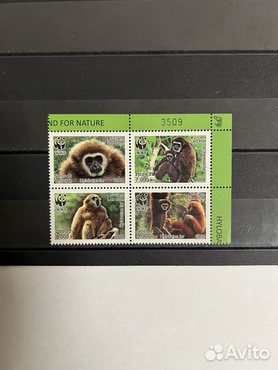 2008 г. Лаос. Обезьяны