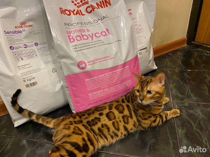 Корм для кошек и собак Роял Канин (Royal Canin)