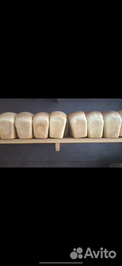 Хлеб и сдоба, корм для животных (списание)