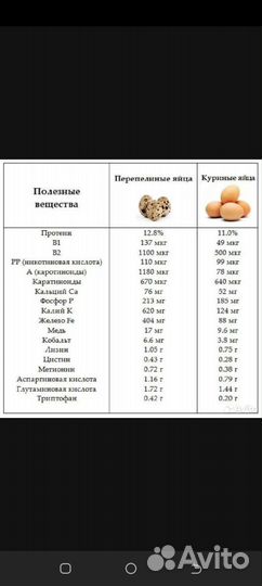 Яйца перепелиные домашние и инкубационное