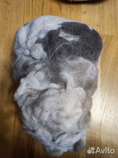 Пух балинезийского кота