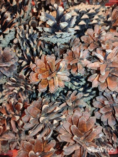 Шишки для декора