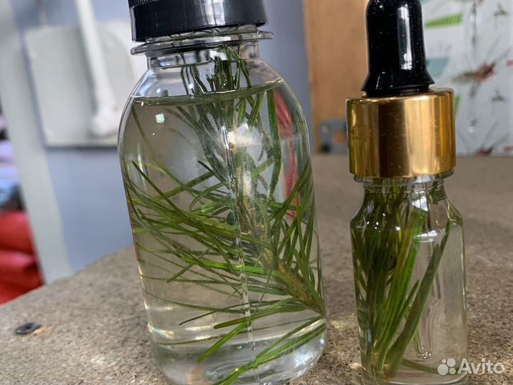 Веники Пихтовые для бани