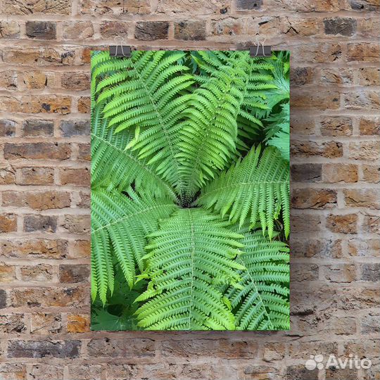 Интерьерные постеры 30*40 