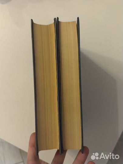 Андрей Белый, 2 тома