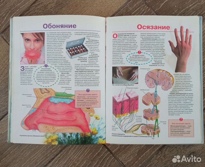 Большая энциклопедия для любознательных